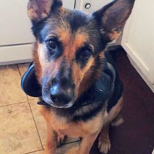 Meet your Posher, Todd